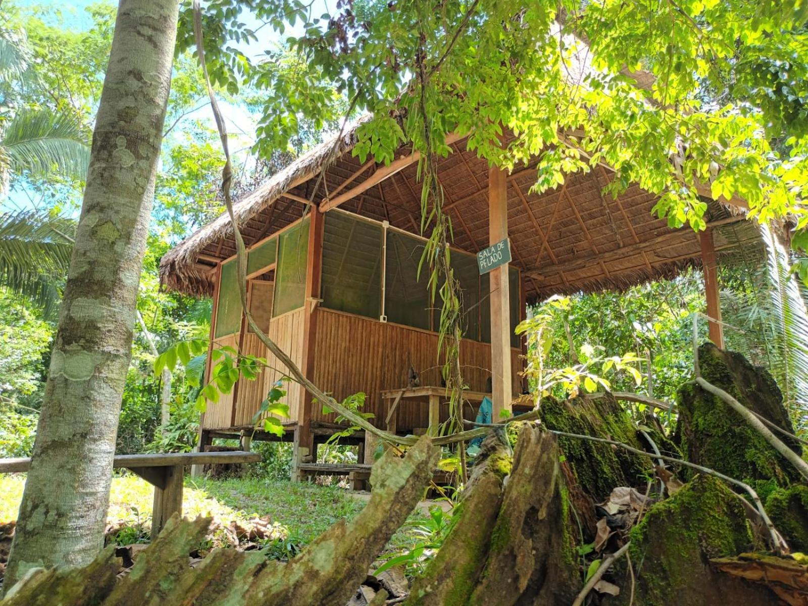 Castana Amazon Park Hostel Puerto Maldonado Exterior foto
